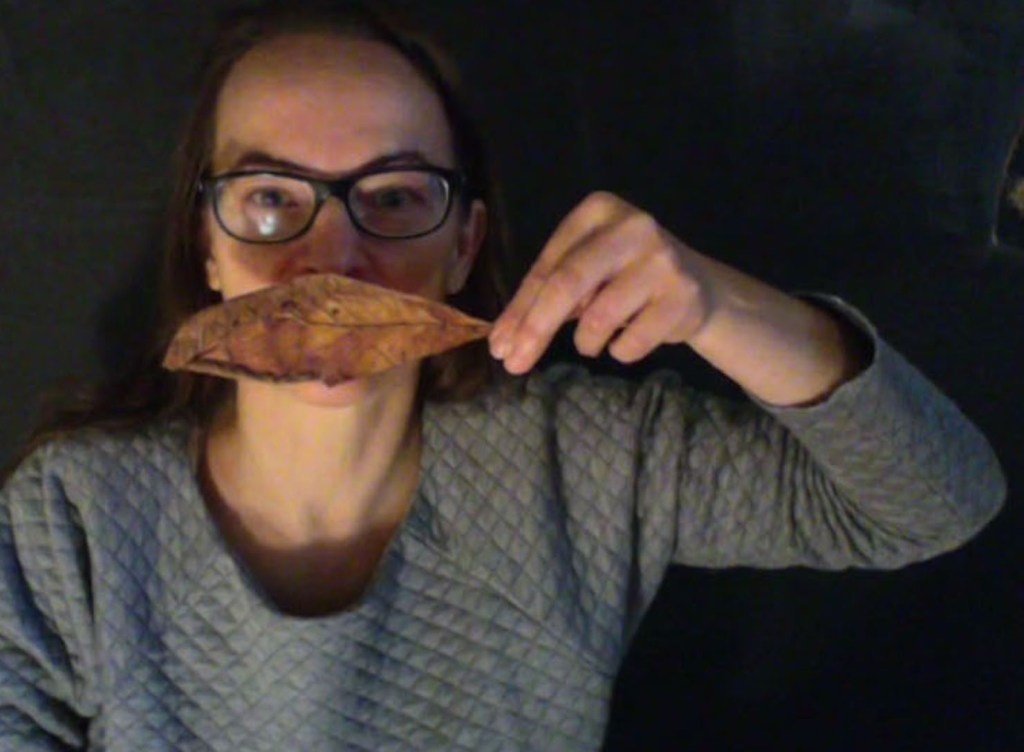 Cette image a un attribut alt vide ; le nom du fichier est mediationfeuilledechiree-rox-1.jpg