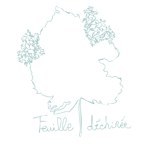 Feuille déchirée